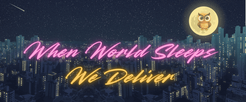 NIGHT OWL WORLD